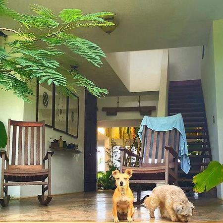 El Hotelito At The Rainforest Experience Farm Fajardo Buitenkant foto