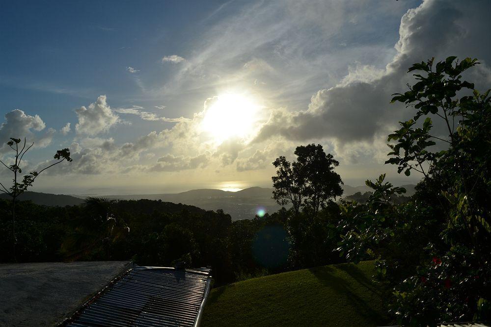 El Hotelito At The Rainforest Experience Farm Fajardo Buitenkant foto