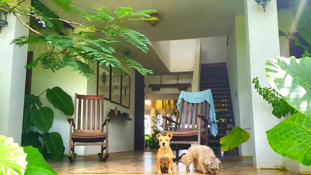 El Hotelito At The Rainforest Experience Farm Fajardo Buitenkant foto