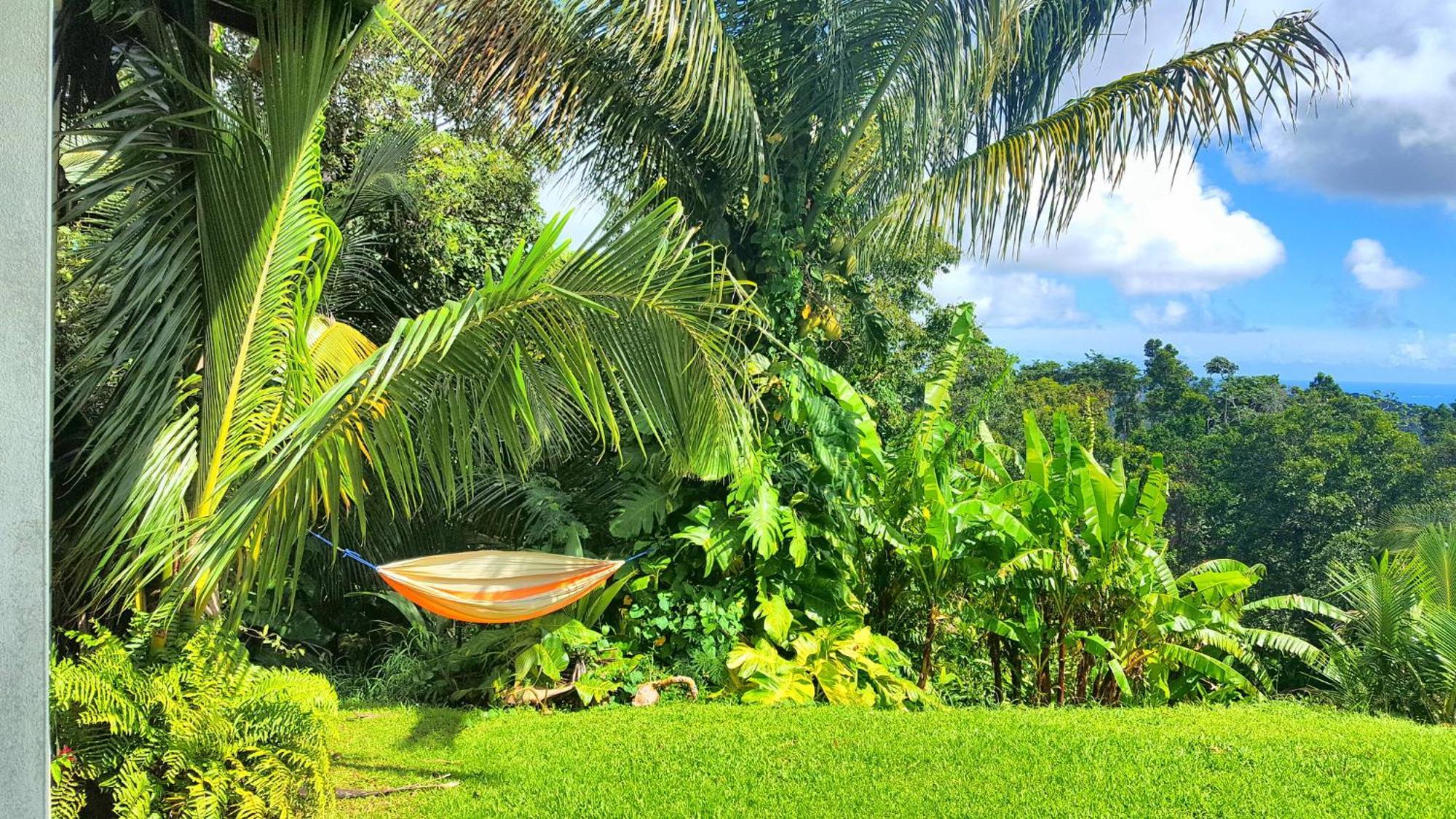 El Hotelito At The Rainforest Experience Farm Fajardo Buitenkant foto